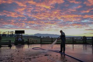 Pressure Washing Equipment Can Make Quick Work of Dairy Farm Cleaning