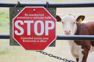 Follow These Agriculture Biosecurity Protocols to Protect Employees and Customers