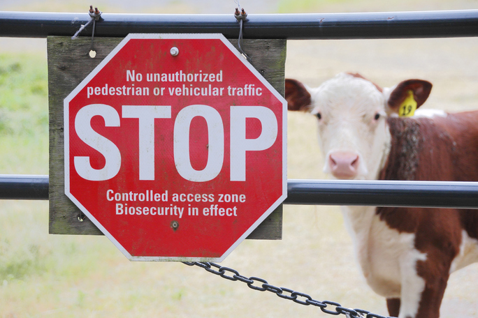 Follow These Agriculture Biosecurity Protocols to Protect Employees and ...