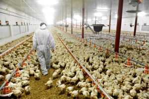 We Have You Covered: Hydrotek’s Cleaning Solutions for the Agriculture Industry
